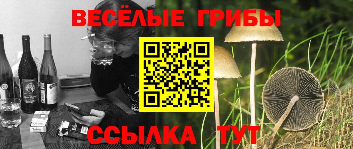 Луховицы  Галлюциногенные грибы прущие грибы  наркошоп  Псилоцибиновые грибы Psilocybe  Вход с VPN 